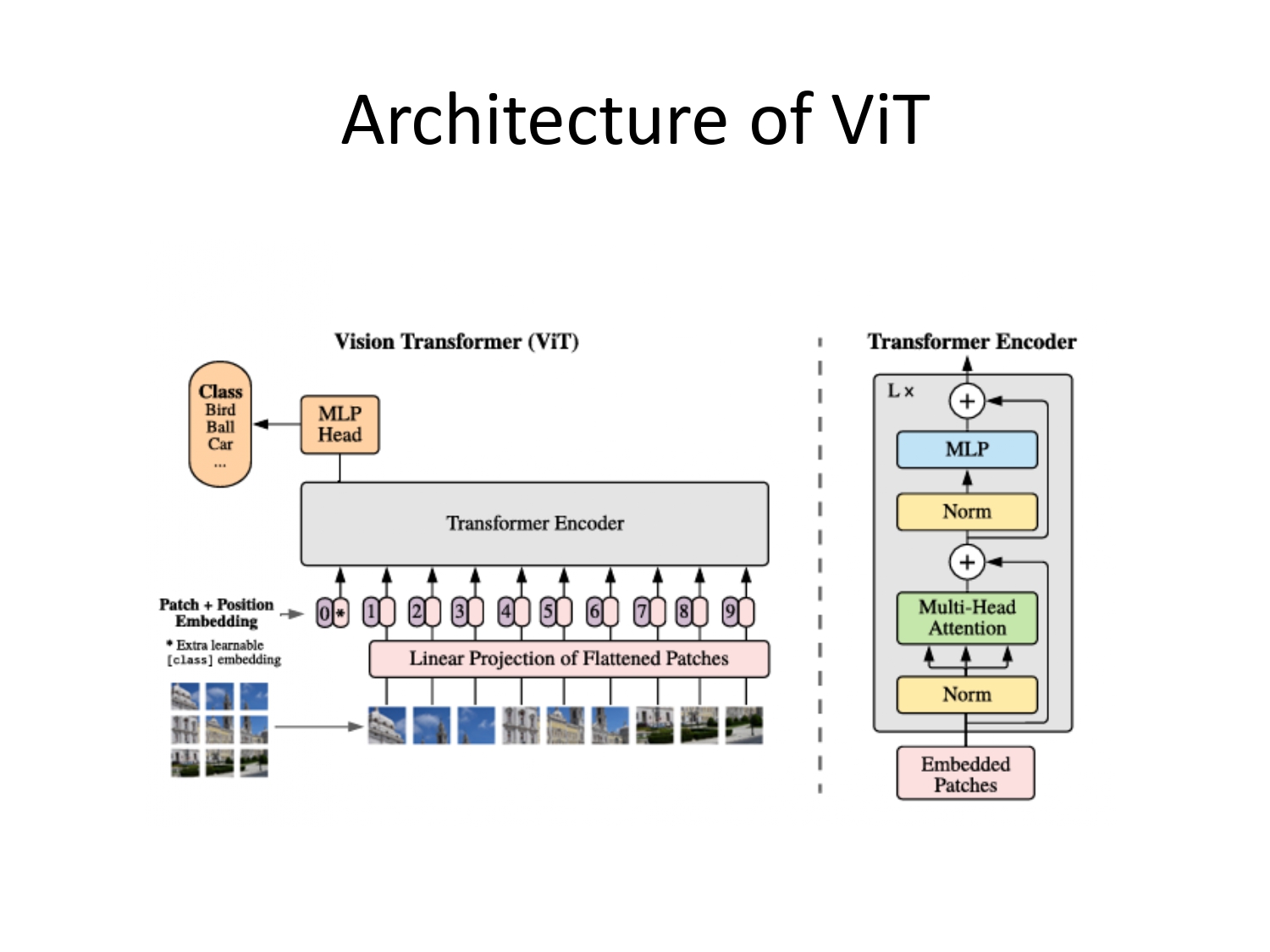 ViT Architecture Diagram